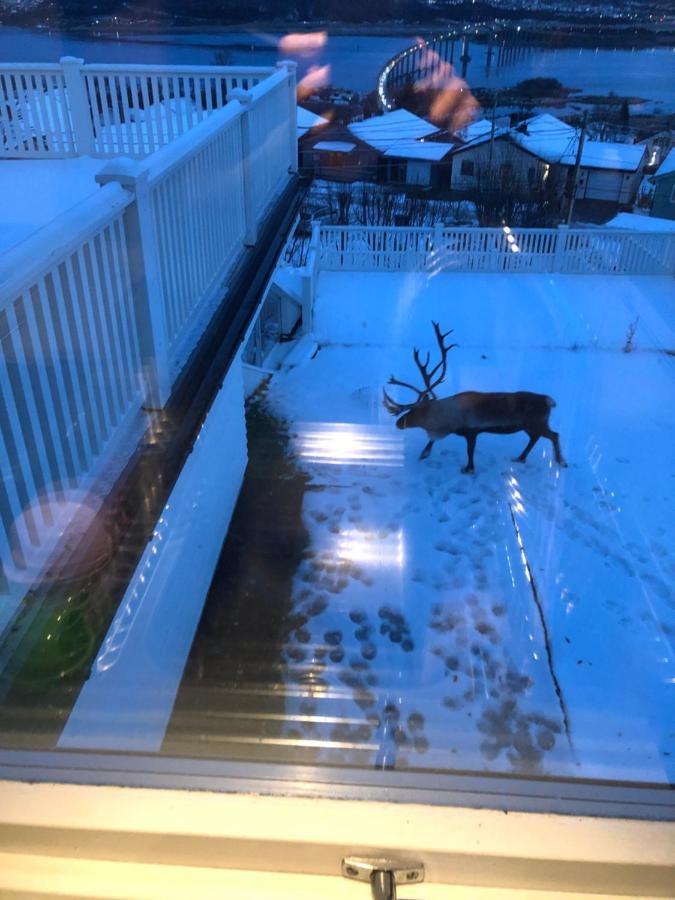 Moderne Og Trivelig Leilighet, Med Unik Utsikt 特罗姆瑟 外观 照片